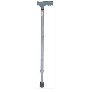 Walking Stick, Silver