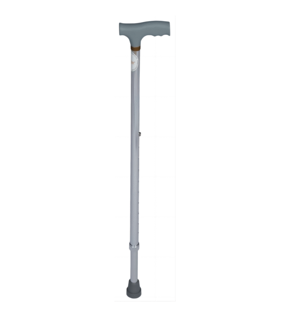 Walking Stick, Silver