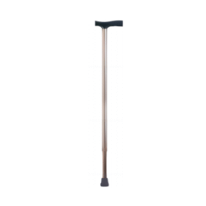 Walking Stick, Bronze